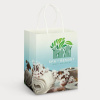 Large Paper Carry Bag (Full Colour)