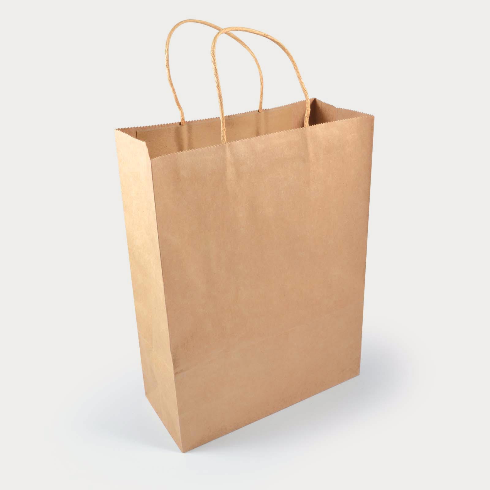 Express Paper Bag (Large) | PrimoProducts