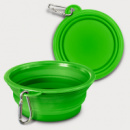 Silicone Collapsible Pet Bowl+Green