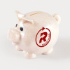 World’s Smallest Pig Eco Coin Bank